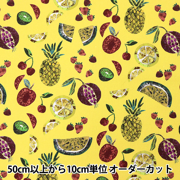 数量5から】 生地 『LIBERTY リバティプリント 11号帆布 ピエトラ