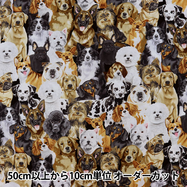 数量5から】 生地 『USAコットン 犬 C8553-MULTI』 生地,種類から探す  