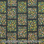 現品限り】【数量5から】 生地 『ローラ アシュレイ プリント Aviary