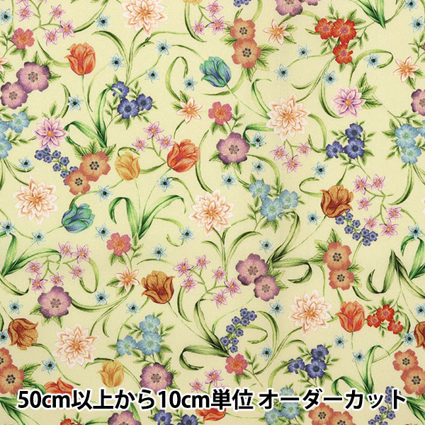 �ڿ���5����� ���� ��LIBERTY �ե������֥��쥯����� �����ȥ�롦��ɥ� 3636413-B�� ��Хƥ�����ѥ�