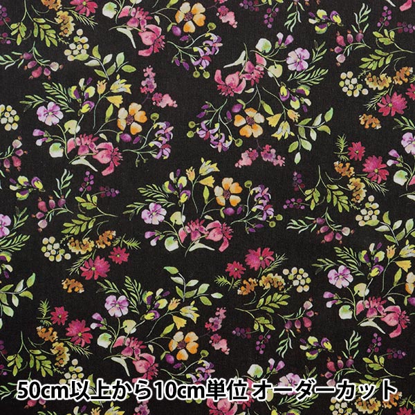 �ڿ���5����� ���� ��LIBERTY �ե������֥��쥯����� �ߥˡ��إå����� 3636415-D�� ��Хƥ�����ѥ�