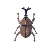 ホウシャハナムグリ