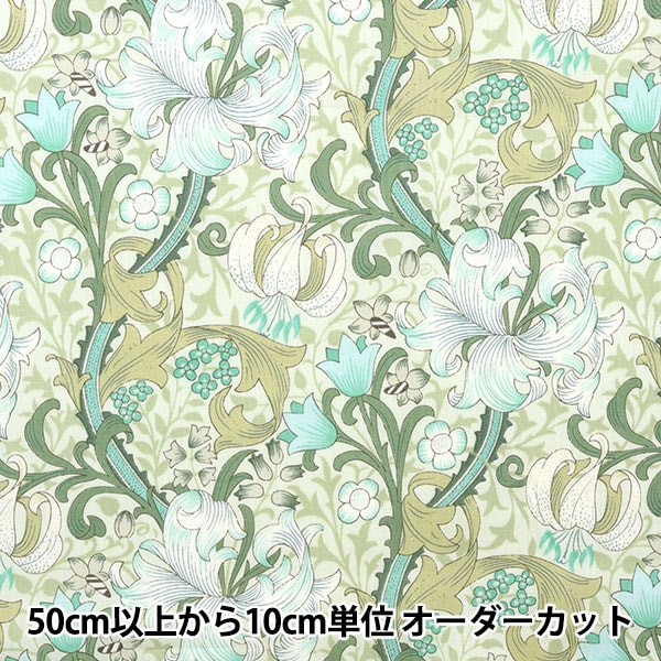 �ڿ���5����� ���� ��80���ƥ� lily ���꡼�� YUZ-850-1�� munsell �ޥ󥻥륳�쥯����� �ڥ楶�����꾦�ʡ� 