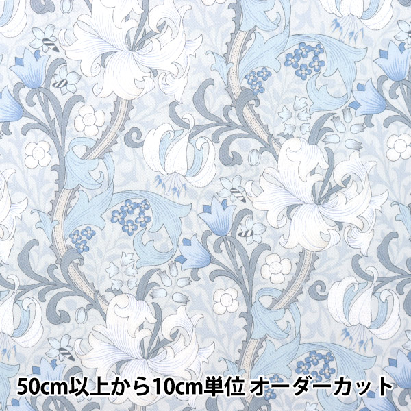 �ڿ���5����� ���� ��80���ƥ� lily �饤�ȥ֥롼 YUZ-850-2�� munsell �ޥ󥻥륳�쥯����� �ڥ楶�����꾦�ʡ� 