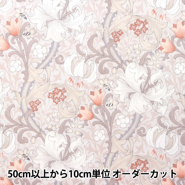 �ڿ���5����� ���� ��80���ƥ� lily ������� YUZ-850-3�� munsell �ޥ󥻥륳�쥯����� �ڥ楶�����꾦�ʡ� 