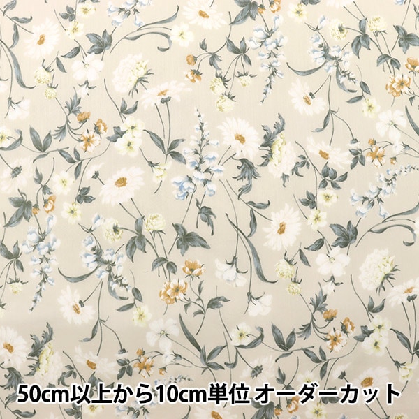 �ڿ���5����� ���� ��80���ƥ� ���եȥܥ��˥��� ������١����� YUZ-844-3�� munsell �ޥ󥻥륳�쥯����� �ڥ楶�����꾦�ʡ� 