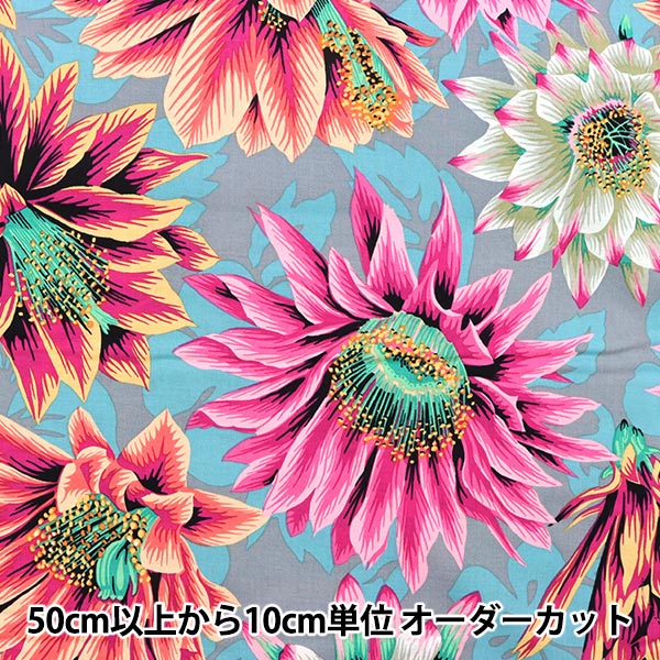 Kaffe Fassett Collective Spot 45cmx54cm ケイフファセット、フリー 