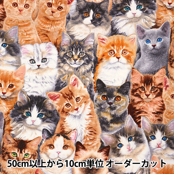 ゆちュさん専用　激レア　パラサナ縞斑　総柄 Lot No. SS39529 / SUN SURF SPECIAL EDITION “DRAGON” (SHORT SLEEVE