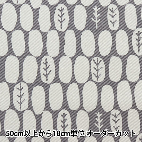 小林 小林遥太選手 2023-24シーズン契約合意のお知らせ | 仙台89ERS