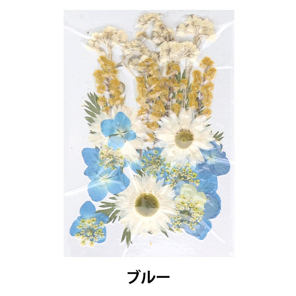 押し花 押し花カラーパック ブルー Py003 フラワー キット 押し花 ホビー材料の通販 ユザワヤ公式ネットショップ