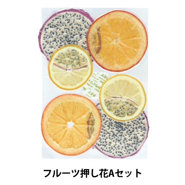押し花 ドライフルーツセット