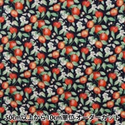 数量5から】 生地 『オックスフォード リンゴ柄 ナチュラル SOPOA