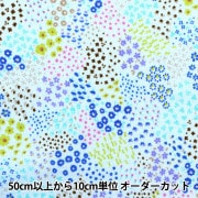 ユ様 新製品】LUKIA(ルキア)より2025 SAKURA Blooming 限定モデル