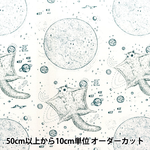 数量5から】 生地 『河野愛 綿麻 モモンガ ホワイト×ブルー KN4444845