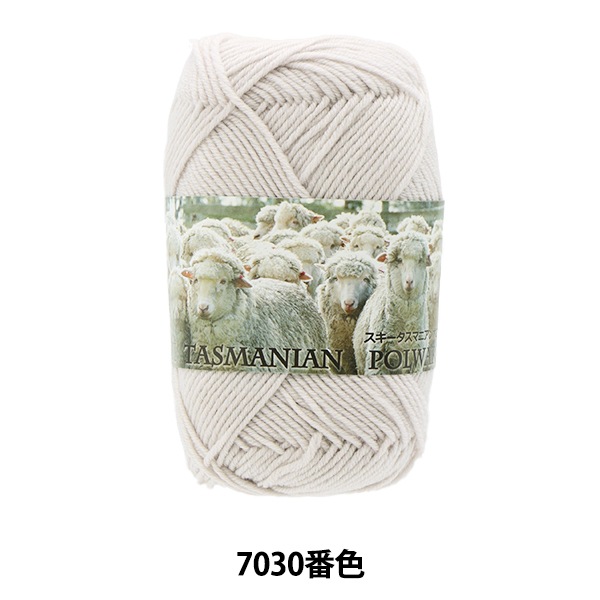 秋冬毛糸 『Ski Tasmanian Polwarth (スキータスマニアンポロワース