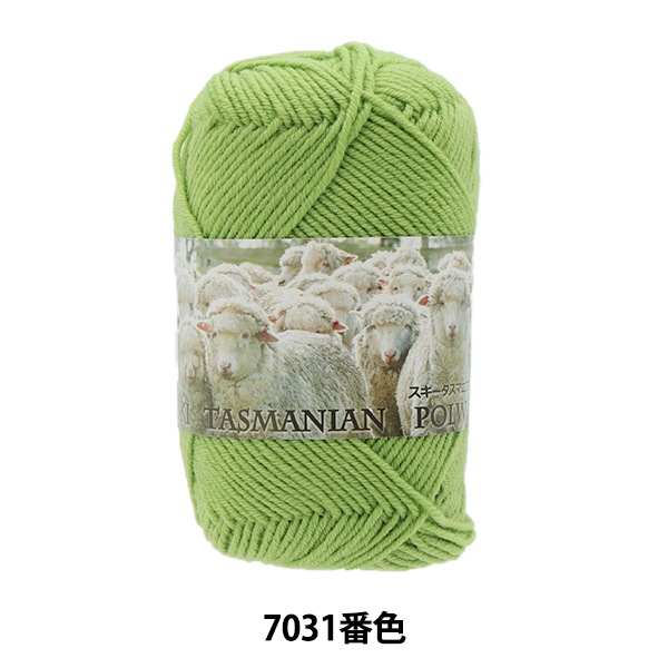 秋冬毛糸 『Ski Tasmanian Polwarth (スキータスマニアンポロワース