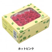Primavera プリザーブドローズキット モノ・インターナショナル Primavera プリザーブドフラワー