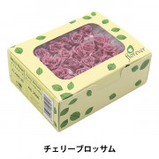 プリザーブドフラワー 『マイクロローズ カリビアンブルー FL060-20-CB