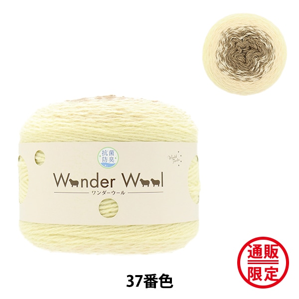 �����θ��꿧�� �����ӻ� �ع��ݥ����������� 37�ֿ��� World Festa �ڥ楶�����꾦�ʡ�