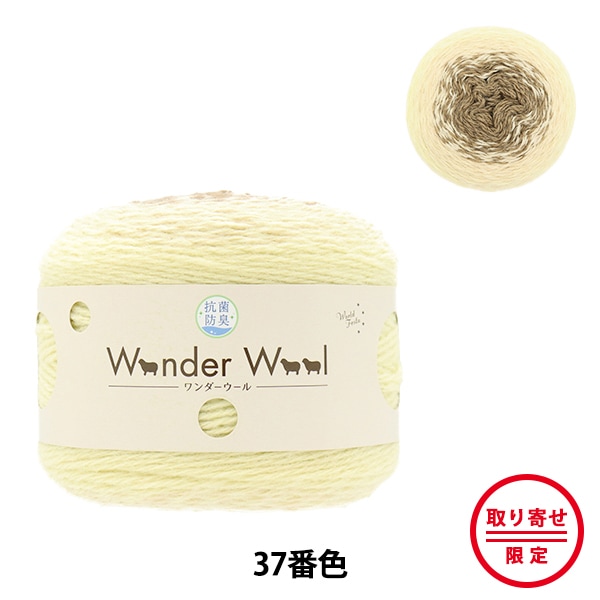 ڤ󤻸꿧 ӻ عݥ 37ֿ World Festa ڥ楶꾦ʡ