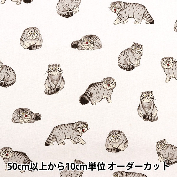 数量5から】 生地 『綿麻キャンバス モフモフアニマル マヌルネコ