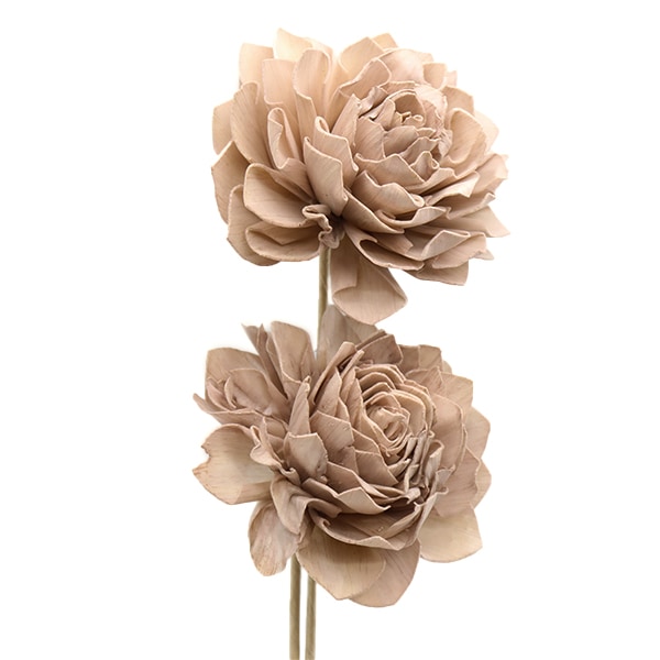 アメリカンフラワー 大輪バラ 大輪バラ アメリカンフラワー 透明で繊細