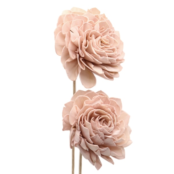 ドライフラワー 『ソーラーダリア 大輪 ピンクベージュ 32400-180