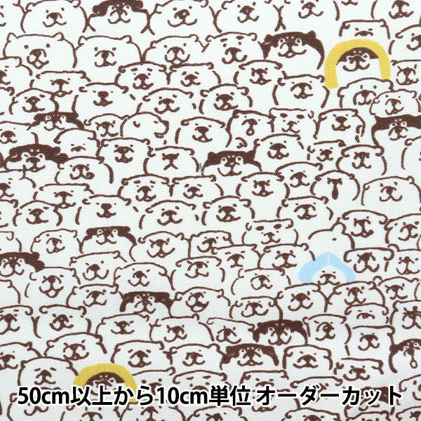 数量5から】 生地 『オックス しばんばん むちころだらけ ミズイロ