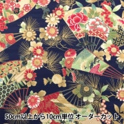 ڿ5  إƥ󥹥 ʸ   AP31701-2E