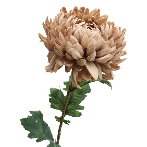 造花 シルクフラワー 『セピアマム ベージュ F5042-013