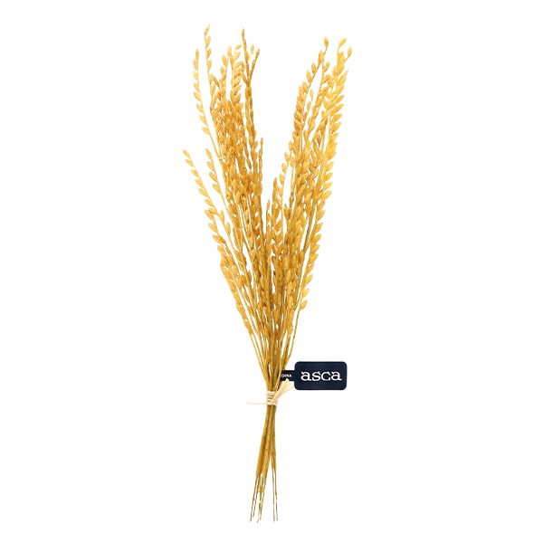 ゴールド花束写真 A3印刷作品 ゴールド花束写真 A3印刷作品 ゴールド花束写真 A3印刷作品 書