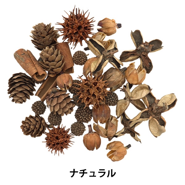 魔女の棲む森～Pinus lambertiana～】ドライフラワー 松ぼっくり