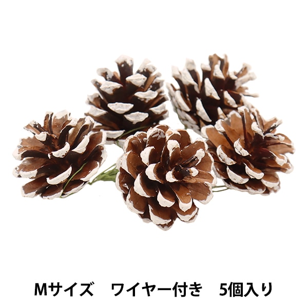 リース材料 自然素材 10cm 10個セット cc4c4a3d5ce50d3eb9924141c21ba5