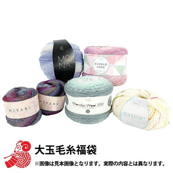 予約受付】 2026年 福袋 『大玉毛糸 福袋 3980円+税』【2026年1月1日
