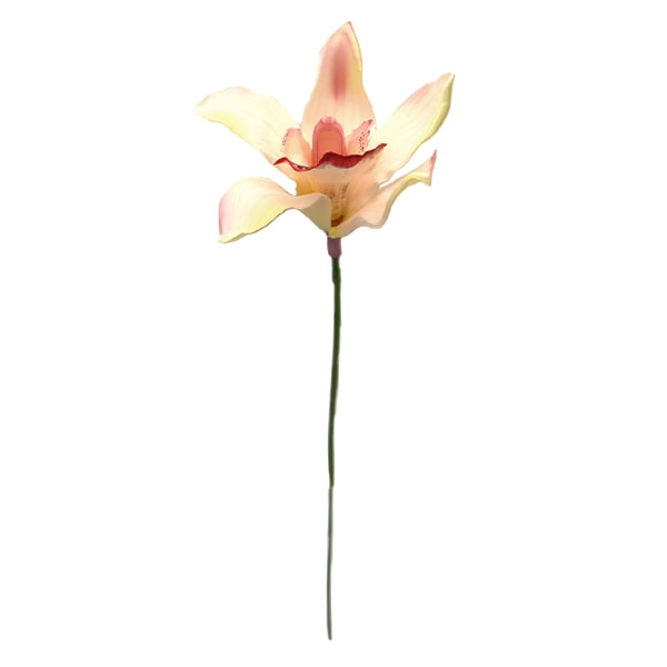 専用 シンビジウムとカラーのアレンジ クレイフラワー シンビジウム