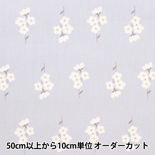 �ڿ���5����� ���� �إ��å��� �ۡ��ߡ��������� ���� �ڡ���֥롼 HS10488-C��