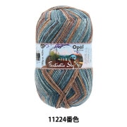 ソックヤーン 毛糸 『ファンタスティックスカイ 6ply 11227番色』 Opal