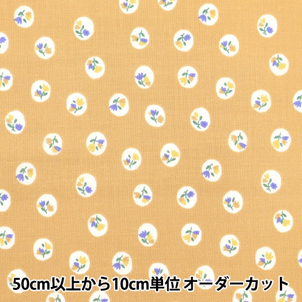 �ڿ���5����� ���� �إ����� �ۡ��ߡ��������� ��̲��� ���ե�� HS10499-C��