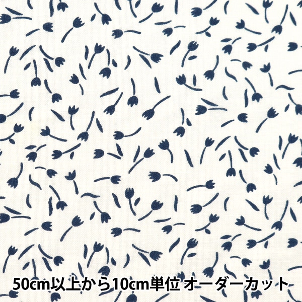 �ڿ���5����� ���� �إ����� �ۡ��ߡ��������� ���塼��å� �ۥ磻�� HS10500-E��