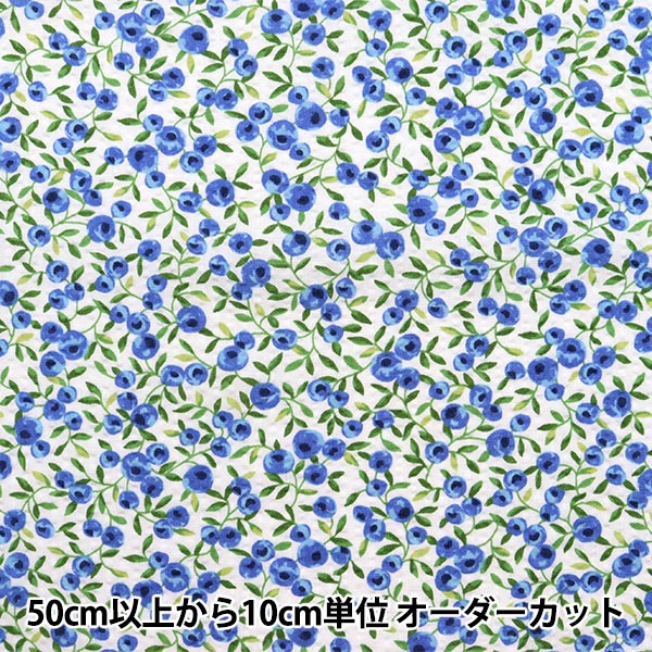 数量5から】 生地 『リップルプリント 大人柄リップル 木の実 ブルー  