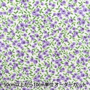 【数量5から】 生地 『リップルプリント 大人柄リップル 木の実 パープル RIPPMI-E』|柄から探す|生地