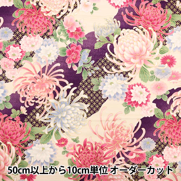 �ڿ���5����� ���� �إ��ƥ󥹥�� ����ʸ�� ���� AP32703-1B��
