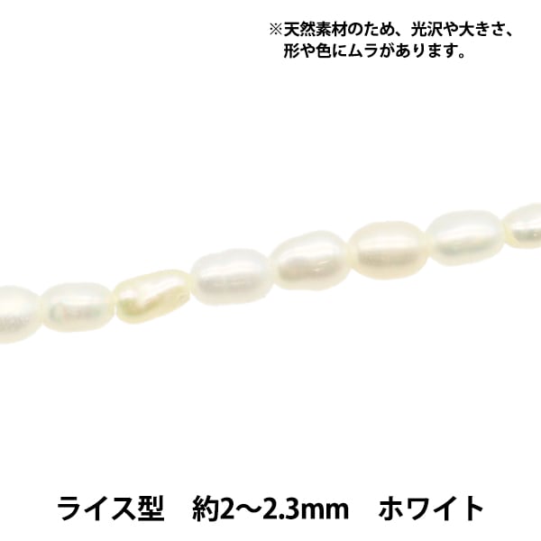 アクセサリー素材 『淡水パール ライス ホワイト 直径 約2～2.3mm