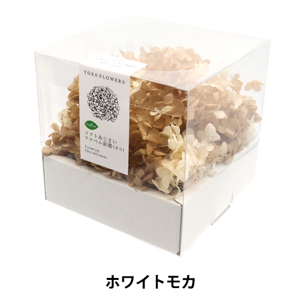 プリザーブドフラワー 『ソフトあじさいアナベル彩楽 ホワイトモカ