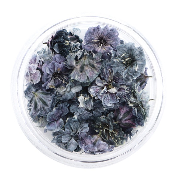 にゃーにゃ様◇【ドライフラワー】かすみ草の蕾 着色（847 レジン