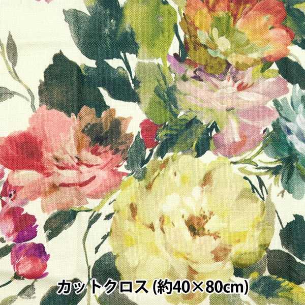 ���� ��CLARKE&CLARKE ���åȥ����� BLOOM ��40cm��80cm C-F1613-04��