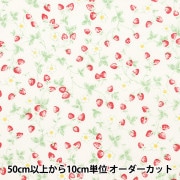 現品限り】【数量5から】 生地 『ローラ アシュレイ プリント シャー