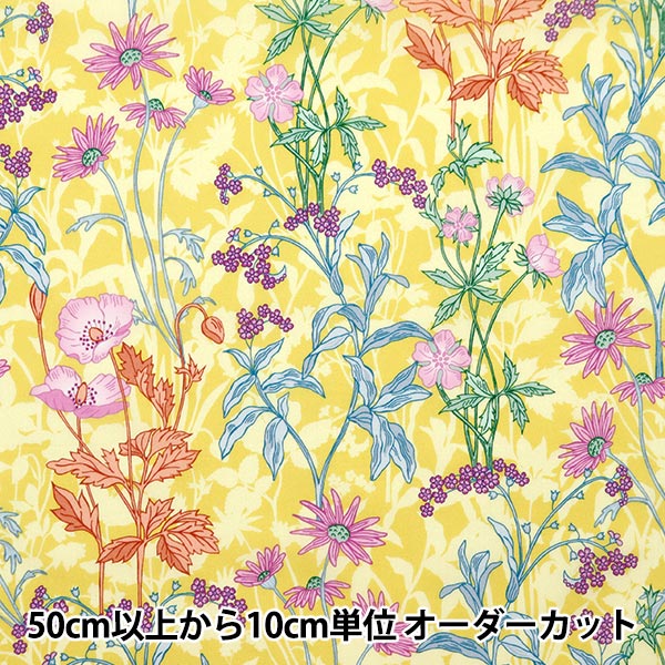 公式正規品 フォンタ 北京 ユニバーサル 原神 ユニバ フリーナ　ナヴィア ユニバーサル・スタジオ・ジャパン 原神 | TikTok