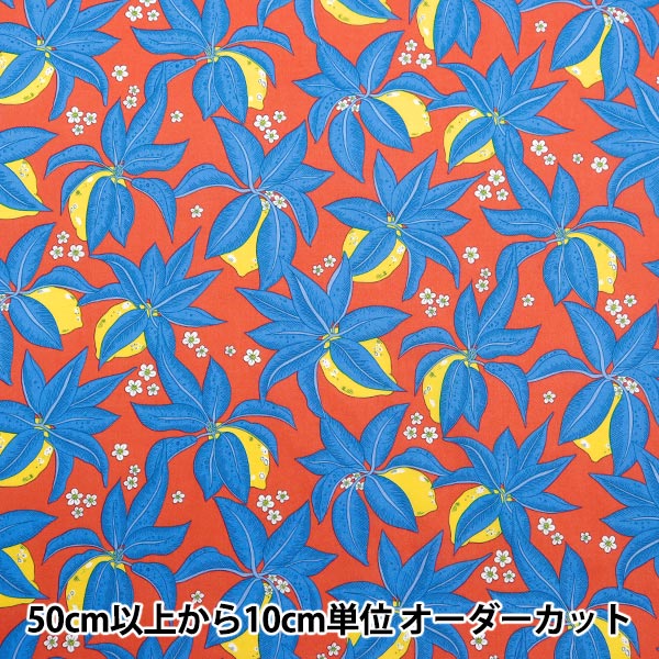 入手難 美品  プレデター ヴァンテージ ユニロック 入手難 美品 プレデター ヴァンテージ ユニロック 入手難 美品