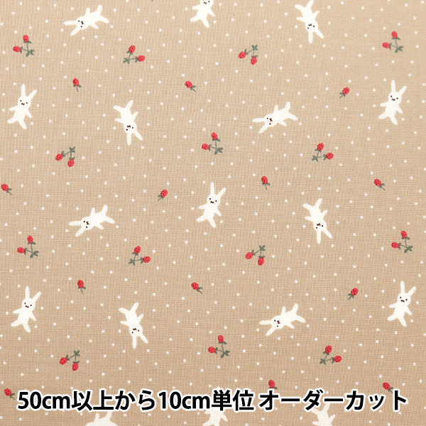 �ڿ���5����� ���� �إݥץ�� �ۡ��ߡ����쥯����� ������ DH11989S-I��
